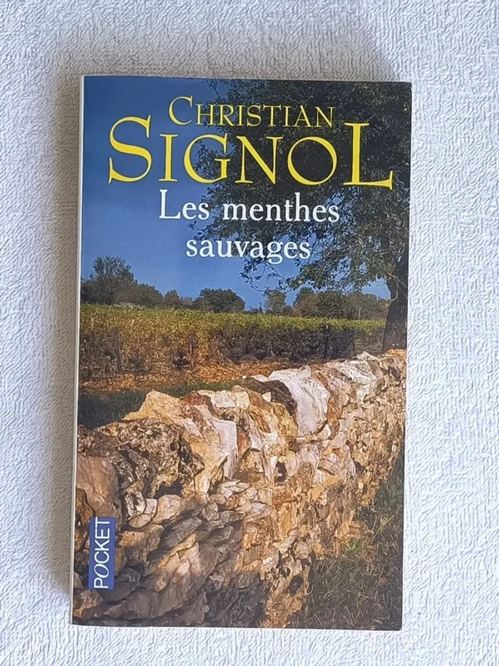 2 livres Les Noëls Blancs / Les menthes sauvages - photo numéro 6