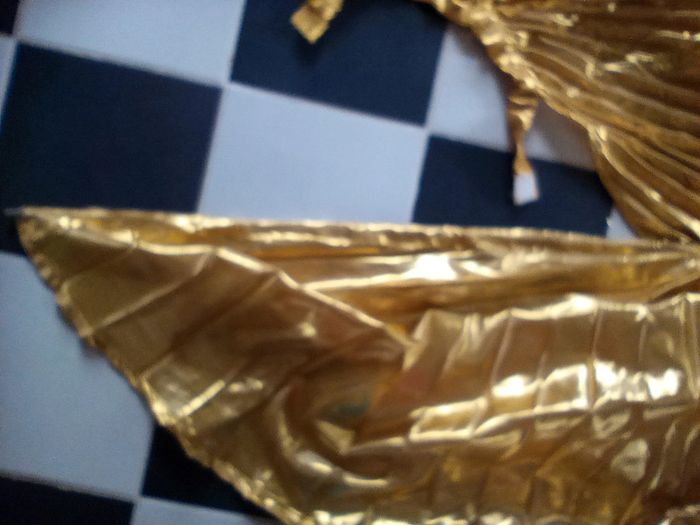 Ailes d'Isis dorée - photo numéro 4