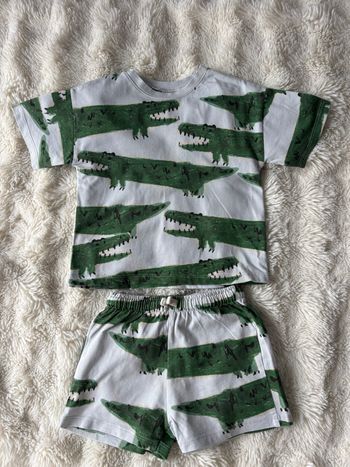 Ensemble crocodile