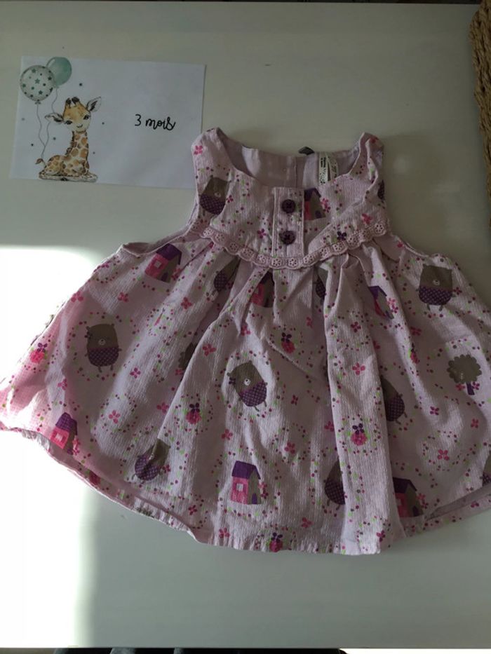 Robe 3m orchestra