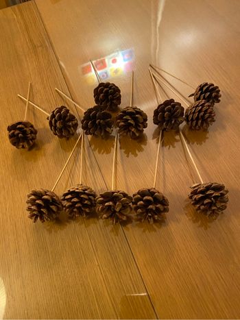Lot de 15 piques de pomme de pin