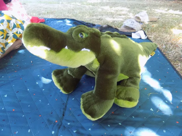 peluche