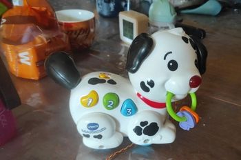 Chien v tecj