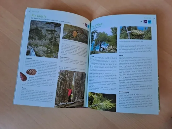 Encyclopédie Visuelle des Arbres & Arbustes - Éditions Artémis - NEUF ! - photo numéro 4