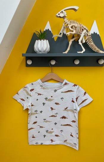 T-shirt désert de dinosauure Gémo 6 ans