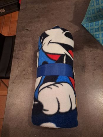 Couverture Mickey disneyland paris