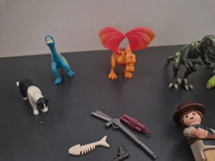 Playmobil jurassique - photo numéro 5