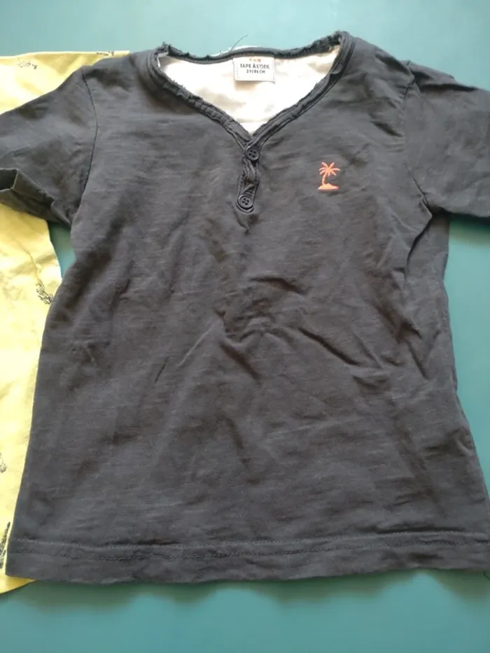 Lot de t shirt TAO taille 2 ans - photo numéro 3