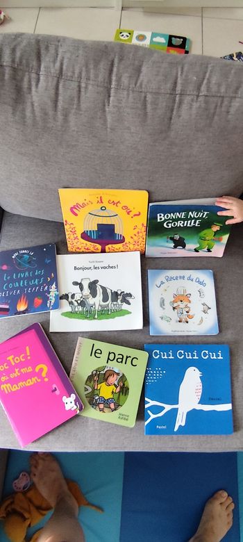 Lot de livre école des loisirs