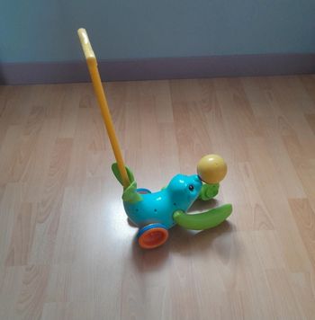 Otarie à pousser avec balle