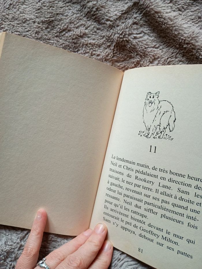 Livre Nelly est innocente - photo numéro 2