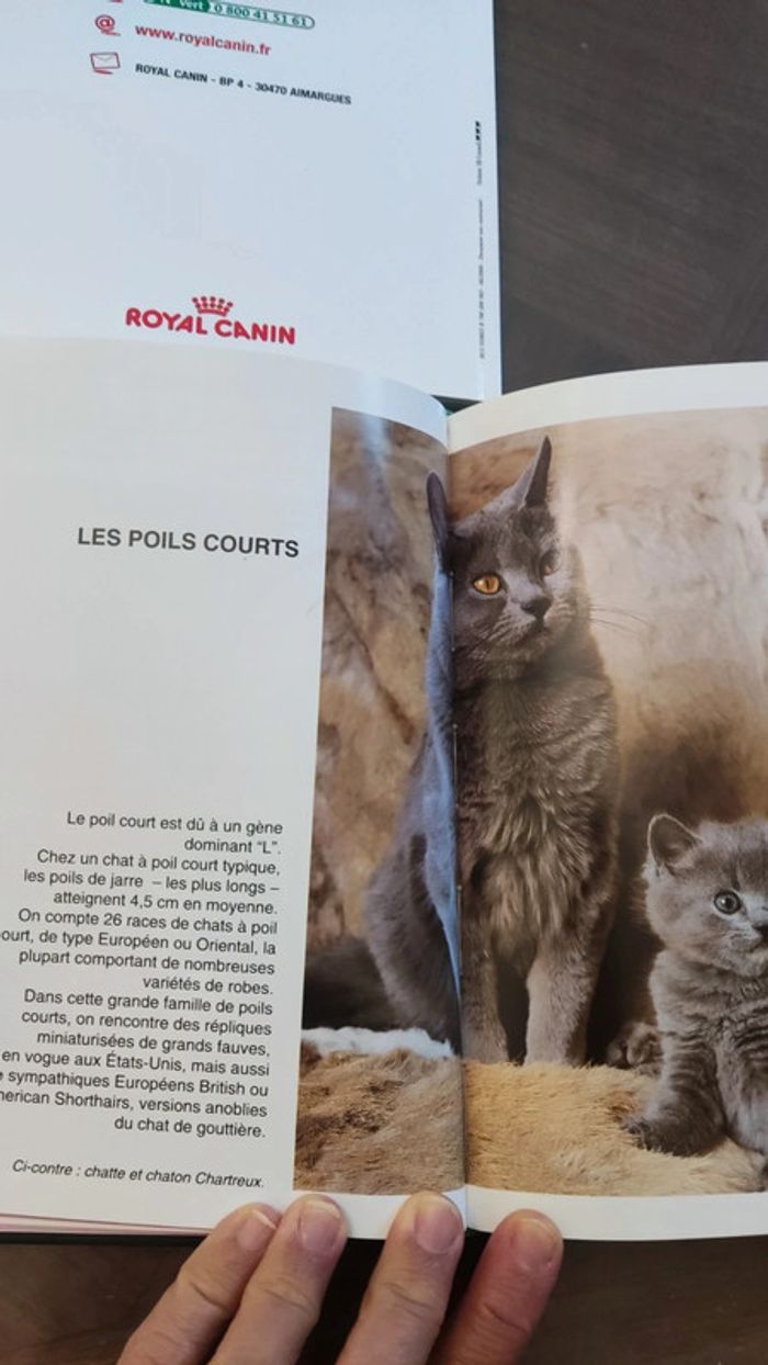 Les chats Guide Vert Solar + Le livre du chaton de Royal canin - photo numéro 11