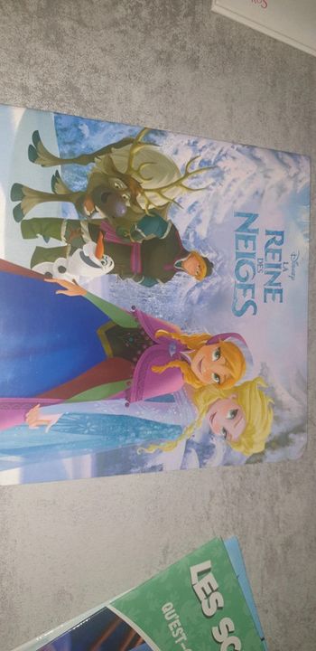 La reine des neiges  disney  monde enchanté  disney