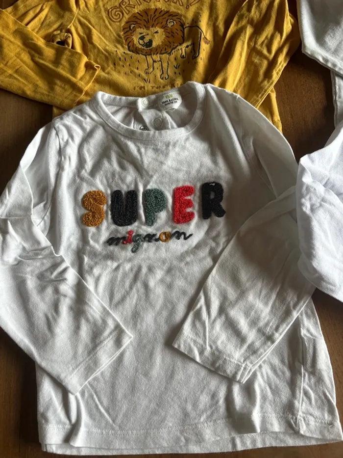 Lot de 4 tee shirt manche longue et un pull taille 36 mois - photo numéro 2