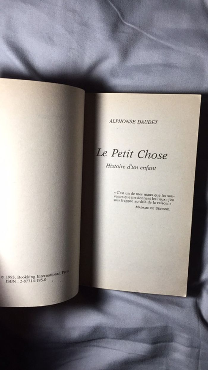 Le petit chose Alphonse Daudet texte intégral Classiques Français - photo numéro 10