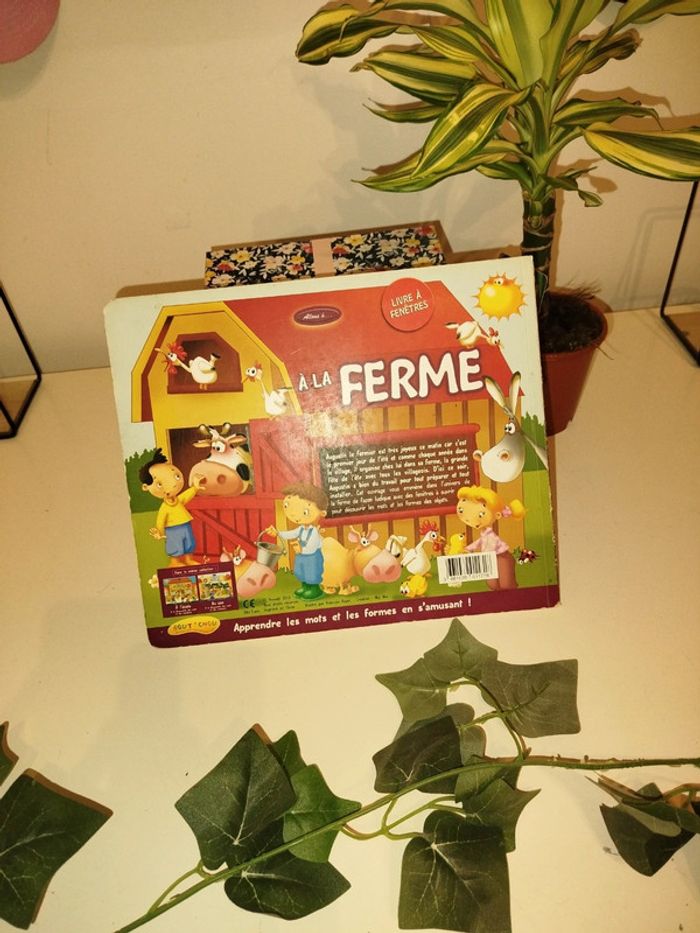 Livre avec fenêtre - photo numéro 3