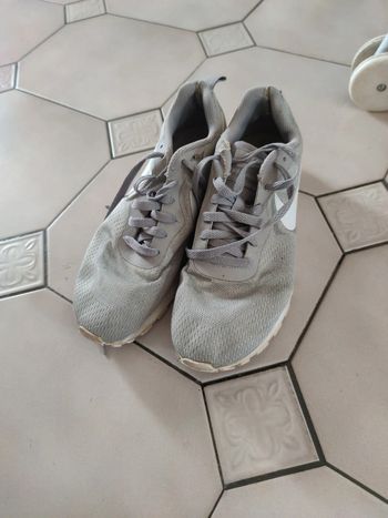 Nike grises