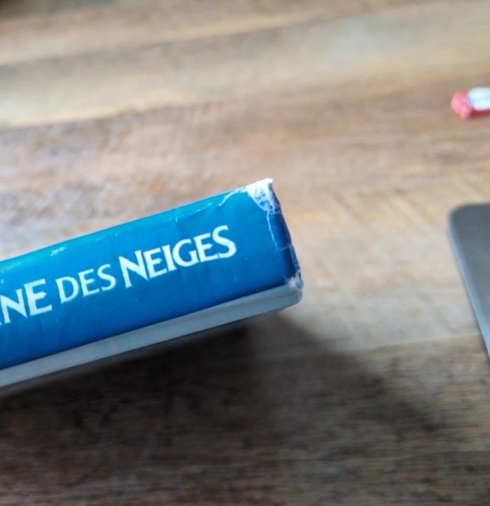 Livre - la reine des neiges - photo numéro 5