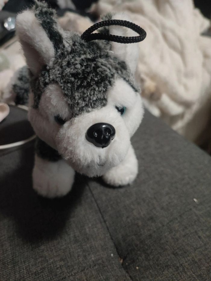 Peluche husky