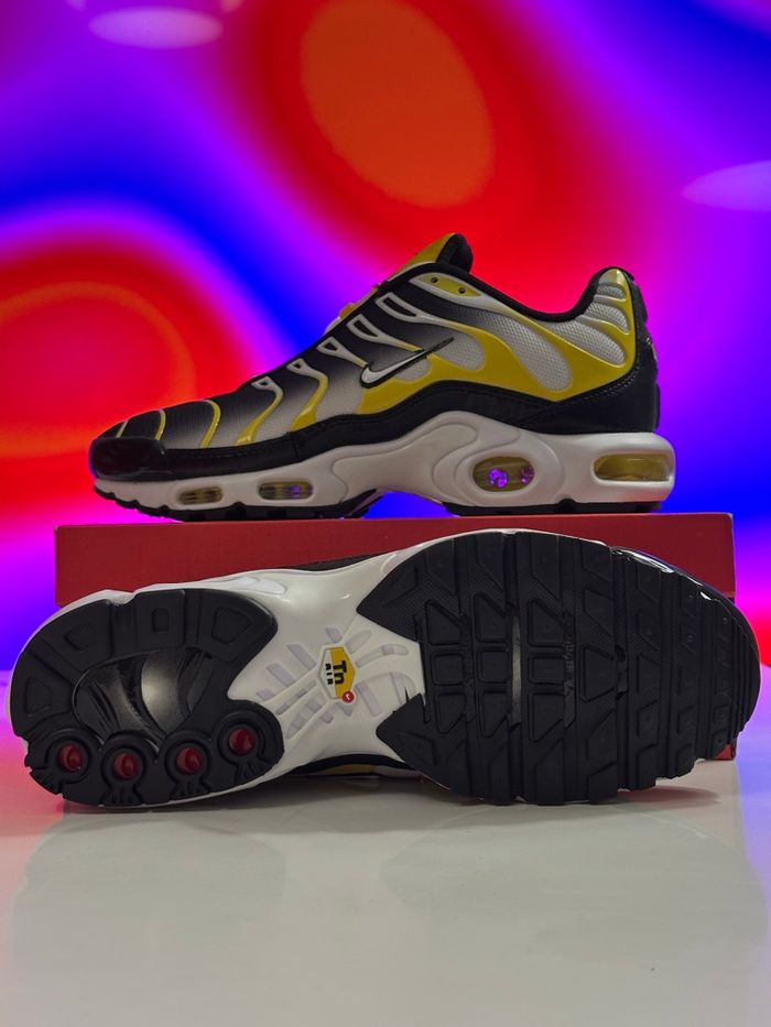 Nike Tn Air Max Plus neuves taille 43  avec boîte – envoi express - photo numéro 2