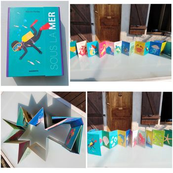 Superbe livre accordéon Amaterra 🪸 Sous la Mer 🐡