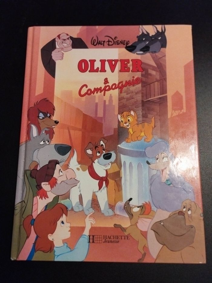 Livre Disney grand format la belle et la bête