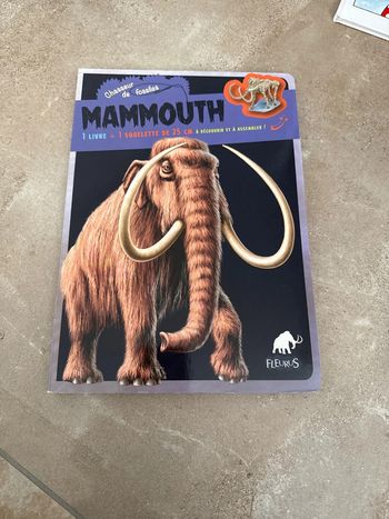 Livre mammouth