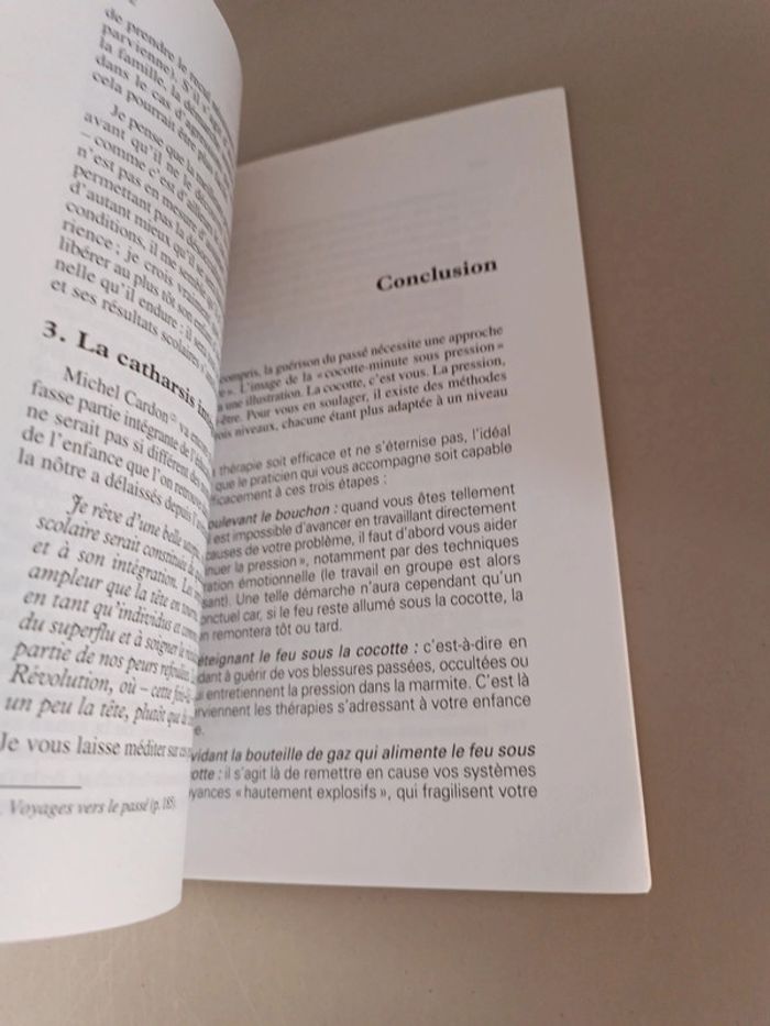 Guérir du passé Thierry Bernardin édition d'angle collection psychosoma deuxième édition - photo numéro 7