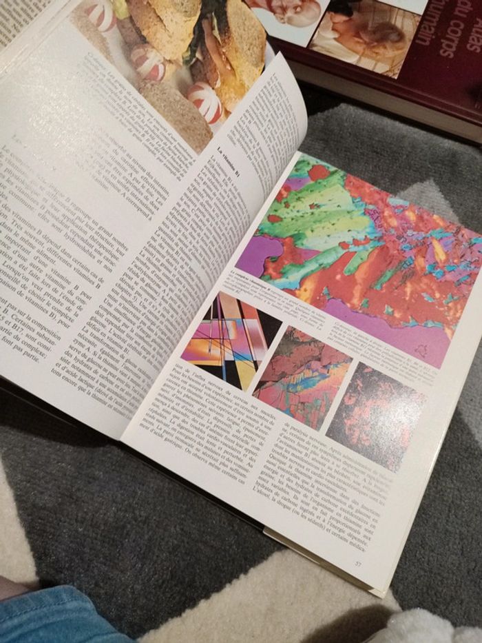 Livre encyclopédie - photo numéro 5