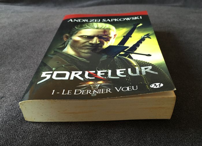 Livre Sorceleur The Witcher Tome 1 - photo numéro 6
