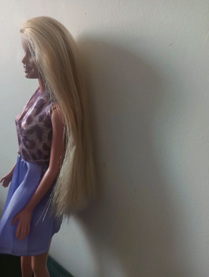 Barbie N - photo numéro 7