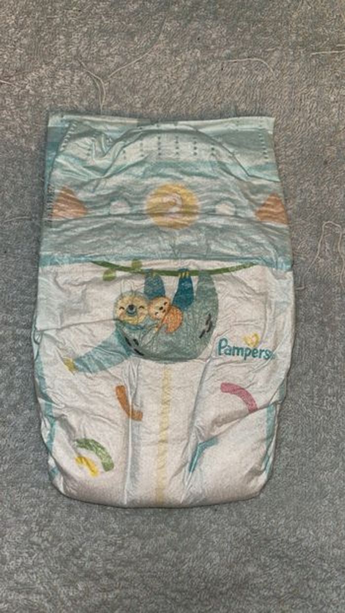 Couches Pampers