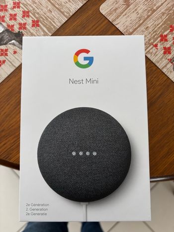 Enceinte Google