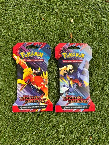 Lot de 2 boosters cartons ev10