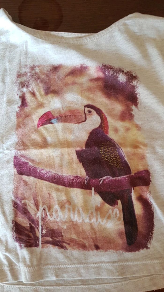 Tee-shirt - photo numéro 2