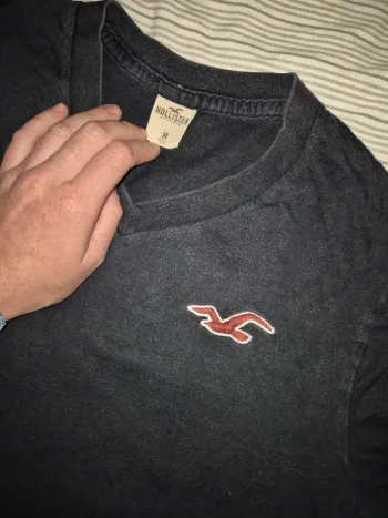 Tee shirt Hollister