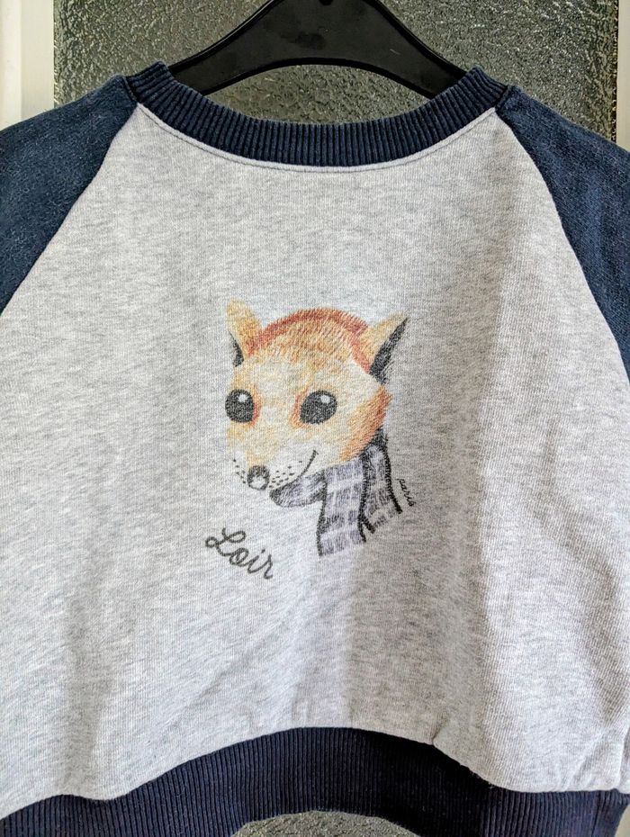 Sweat pull loir paris 36 mois gris et bleu - photo numéro 2