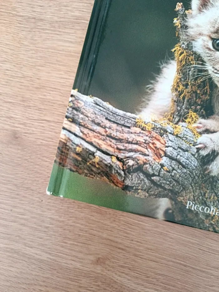 Les bébés animaux - photo numéro 2
