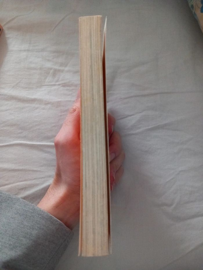 Love Hina Volume 1 - photo numéro 4