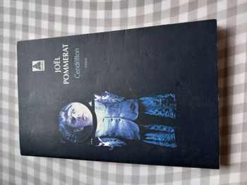 Livre Cendrillon – Joël Pommerat – théâtre
