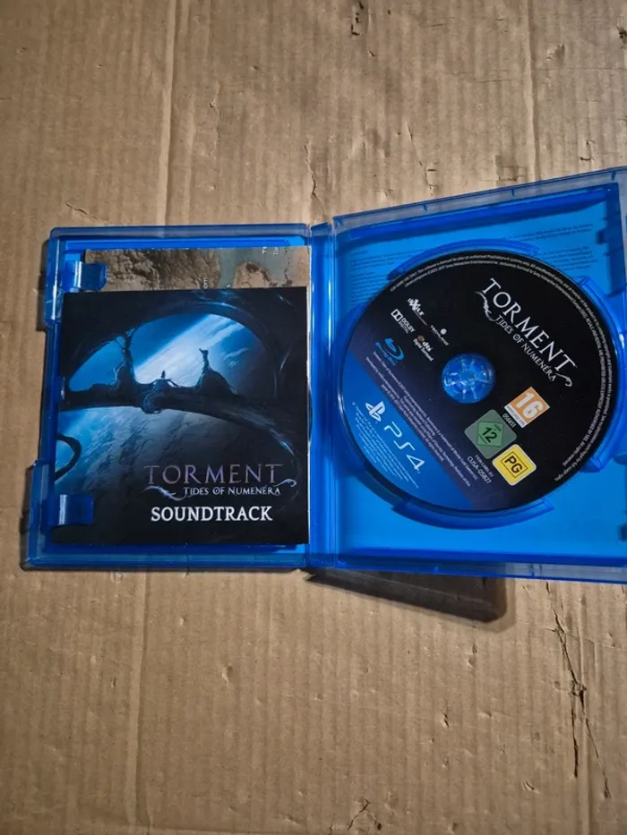 Torment Tides of Numenera pour PS4 - photo numéro 3