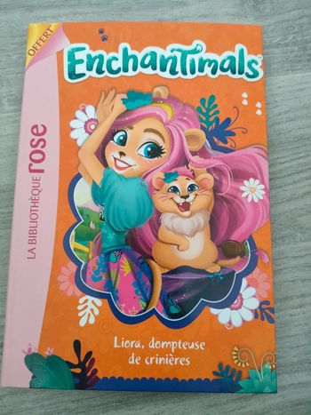 Livre enchantimals