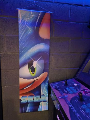 Bannière Sonic Sega avec bambou.