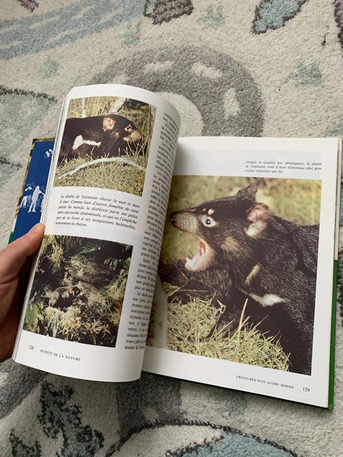 Le monde enchantée de Walt Disney - Secrets de la Nature - photo numéro 3