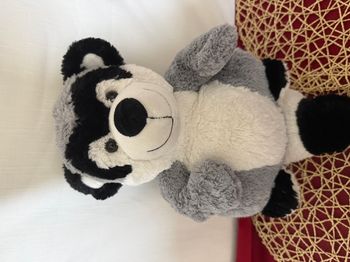 Peluche raton laveur