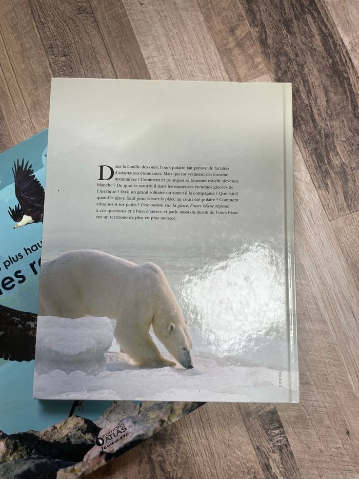 Documentaire rapaces&ours - photo numéro 4