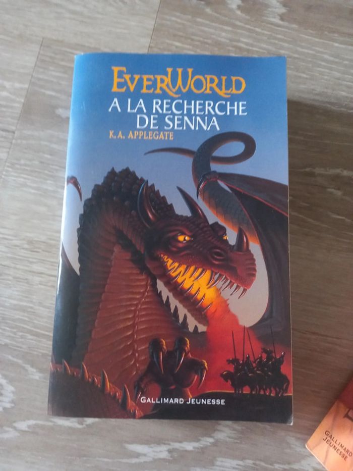 Trilogie EverWorld - photo numéro 4