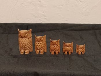 Collection chouette bois santal