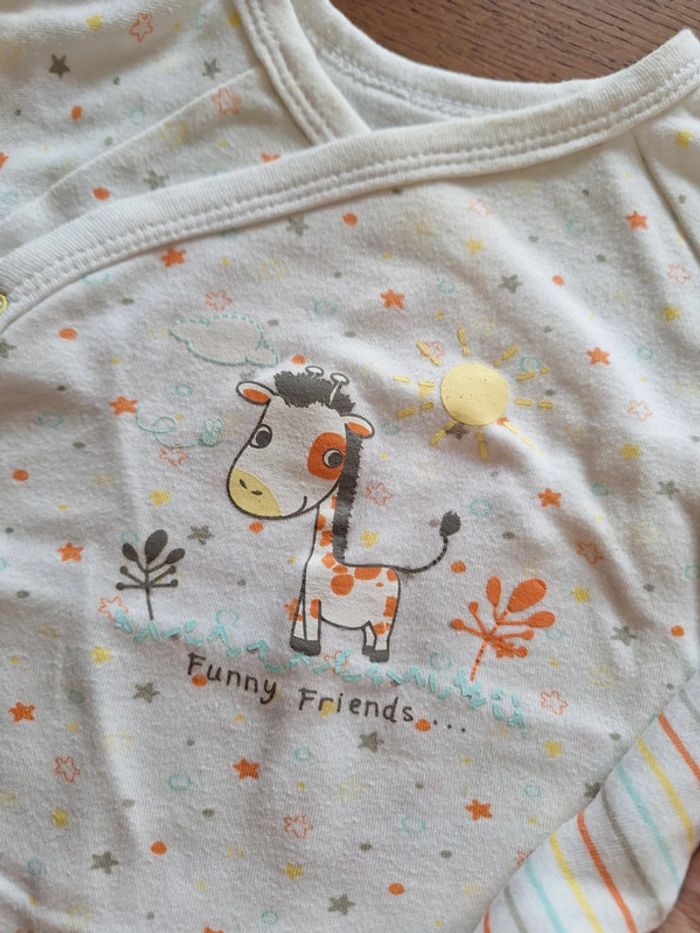 Lot 3 bodies 6 Mois - photo numéro 2