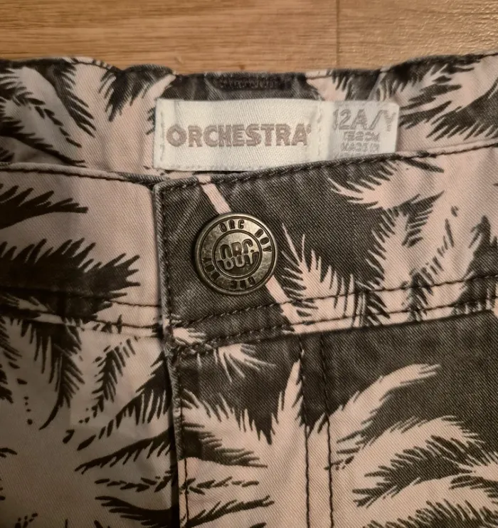 Short orchestra - photo numéro 3